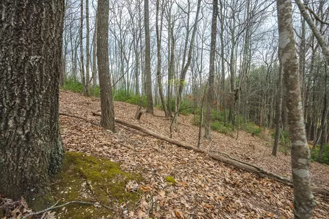 tbd Cox Store Rd SW, Floyd, VA 24091 photo 17