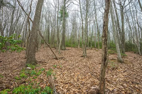 tbd Cox Store Rd SW, Floyd, VA 24091 photo 26