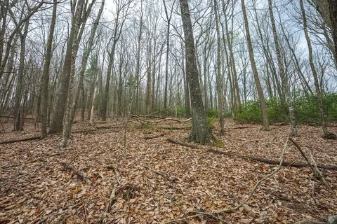 tbd Cox Store Rd SW, Floyd, VA 24091 photo 16