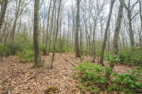 tbd Cox Store Rd SW, Floyd, VA 24091 photo 13