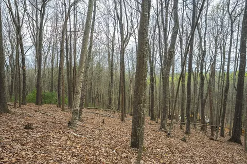 tbd Cox Store Rd SW, Floyd, VA 24091 photo 22