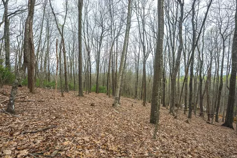 tbd Cox Store Rd SW, Floyd, VA 24091 photo 21