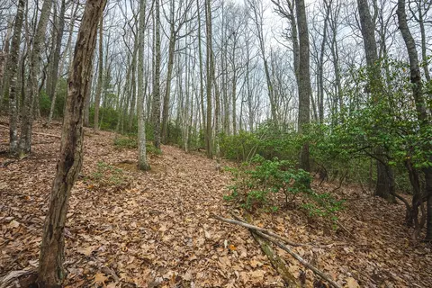 tbd Cox Store Rd SW, Floyd, VA 24091 photo 25