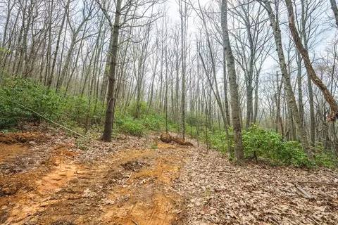 tbd Cox Store Rd SW, Floyd, VA 24091 photo 11