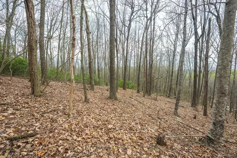 tbd Cox Store Rd SW, Floyd, VA 24091 photo 20
