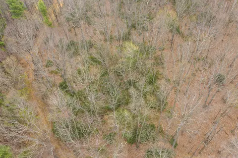 tbd Cox Store Rd SW, Floyd, VA 24091 photo 5