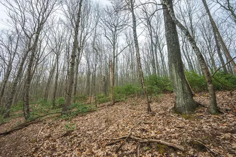 tbd Cox Store Rd SW, Floyd, VA 24091 photo 14