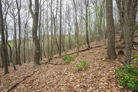 tbd Cox Store Rd SW, Floyd, VA 24091 photo 27