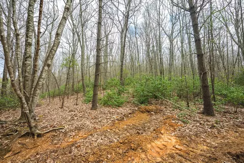 tbd Cox Store Rd SW, Floyd, VA 24091 photo 12