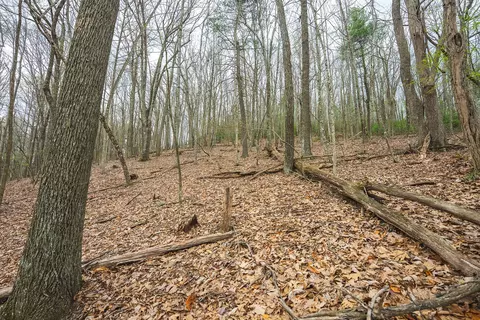tbd Cox Store Rd SW, Floyd, VA 24091 photo 24