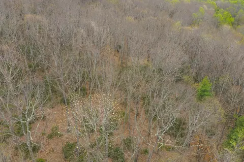 tbd Cox Store Rd SW, Floyd, VA 24091 photo 4