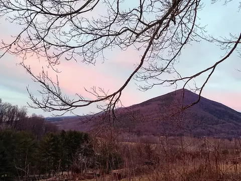 Other - 17749 Main St, Buchanan, VA 24066 photo 6 of 13