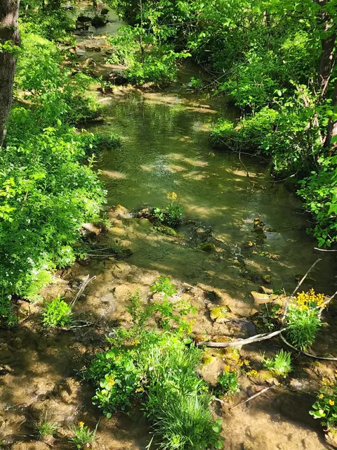 View/Area - 40 River Rd, Buchanan, VA 24066 photo 1 of 1