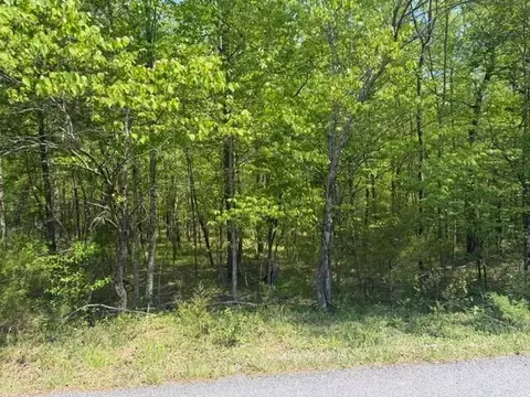 O Lees Gap Rd, Fincastle, VA 24090