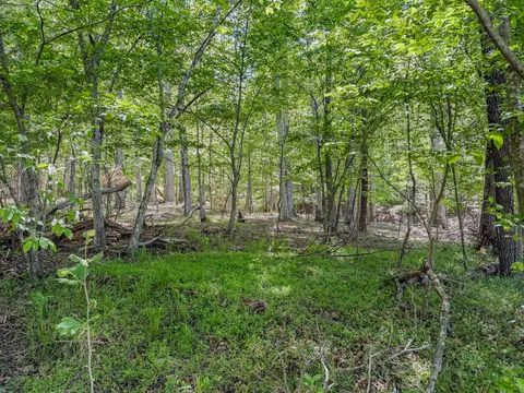 0 Hardy Rd, Hardy, VA 24101 photo 5