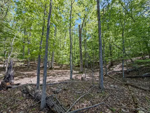 0 Hardy Rd, Hardy, VA 24101 photo 6