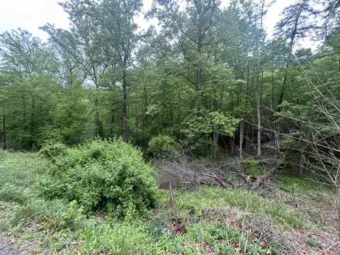 0 Timberview Rd, Roanoke, VA 24019 photo 3