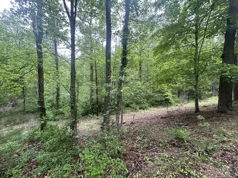 0 Timberview Rd, Roanoke, VA 24019 photo 2