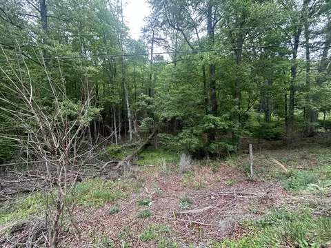 0 Timberview Rd, Roanoke, VA 24019 photo 4