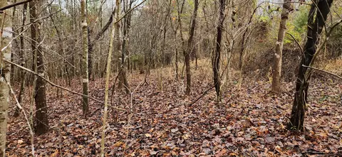 lot6 Brooks Mill Rd, Glade Hill, VA 24092