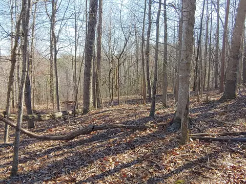 lot1 Truman Hill Rd, Hardy, VA 24101