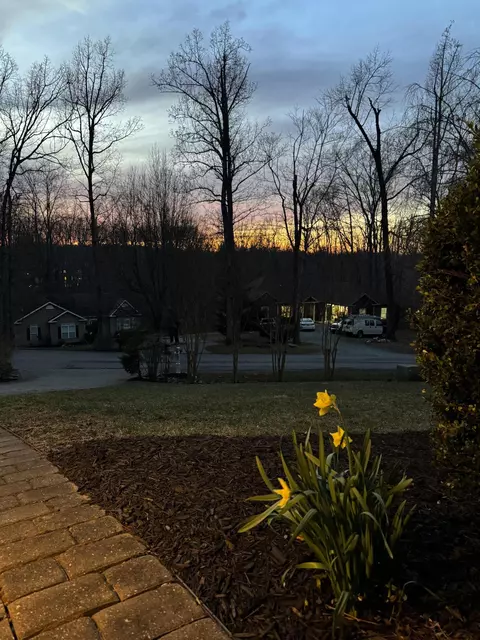 Exterior - 100 Waterside Dr, Moneta, VA 24121 photo 8 of 13