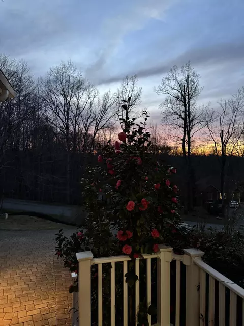 Exterior - 100 Waterside Dr, Moneta, VA 24121 photo 12 of 13