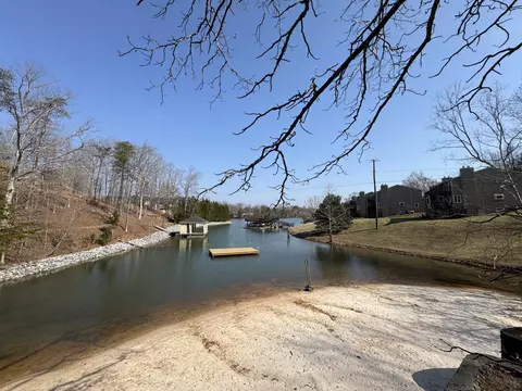 View/Area - 100 Waterside Dr, Moneta, VA 24121 photo 2 of 3