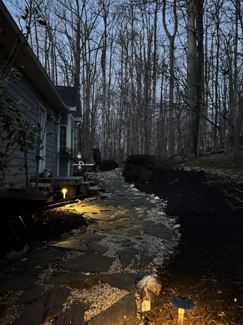 Exterior - 100 Waterside Dr, Moneta, VA 24121 photo 11 of 13
