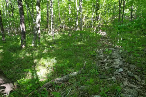 0 Webster Rd, Glade Hill, VA 24092 photo 43