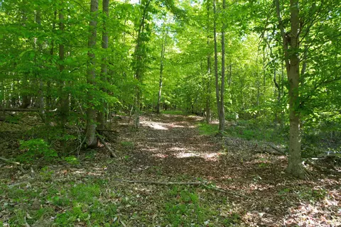 0 Webster Rd, Glade Hill, VA 24092 photo 51