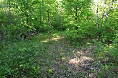 0 Webster Rd, Glade Hill, VA 24092 photo 45