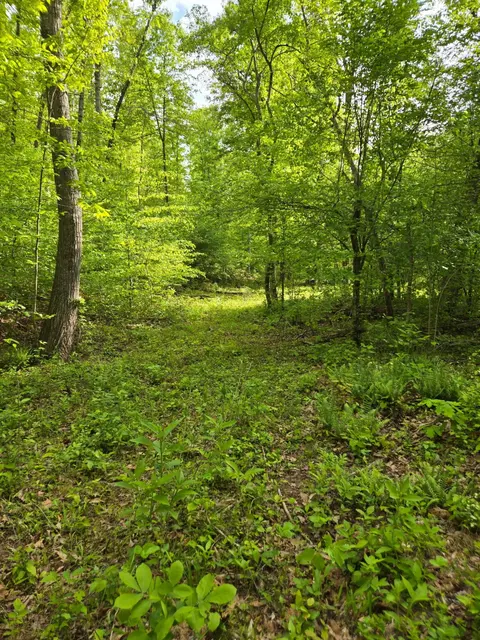 0 Webster Rd, Glade Hill, VA 24092 photo 12
