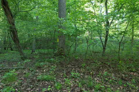 0 Webster Rd, Glade Hill, VA 24092 photo 40