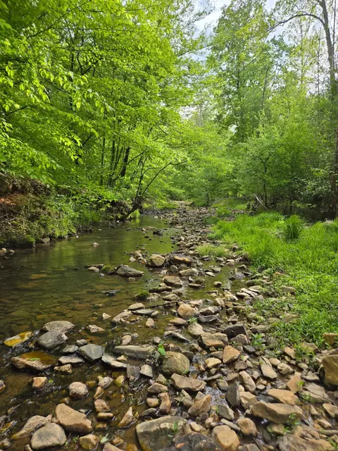 0 Webster Rd, Glade Hill, VA 24092 photo 8