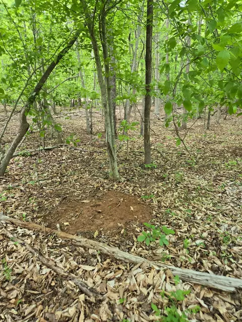 0 Webster Rd, Glade Hill, VA 24092 photo 57