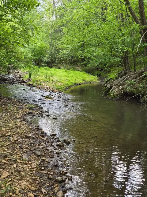 0 Webster Rd, Glade Hill, VA 24092 photo 10