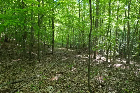 0 Webster Rd, Glade Hill, VA 24092 photo 53