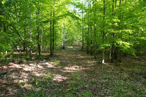 0 Webster Rd, Glade Hill, VA 24092 photo 52