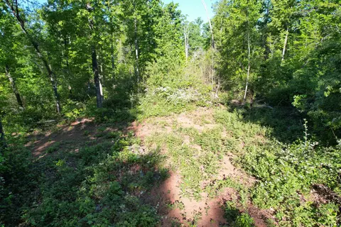 0 Webster Rd, Glade Hill, VA 24092 photo 62