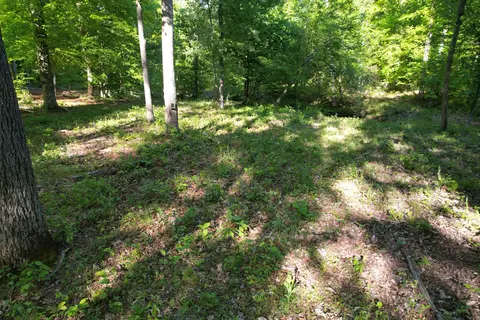 0 Webster Rd, Glade Hill, VA 24092 photo 46