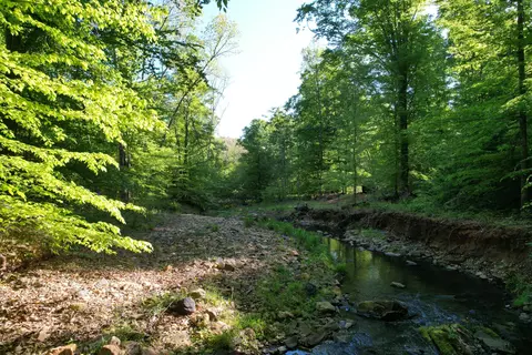 0 Webster Rd, Glade Hill, VA 24092 photo 49