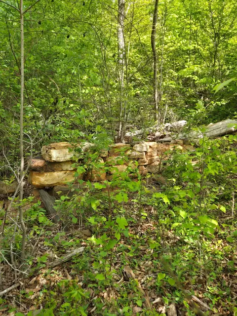 0 Webster Rd, Glade Hill, VA 24092 photo 58