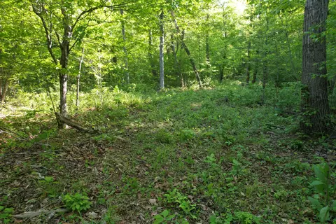 0 Webster Rd, Glade Hill, VA 24092 photo 38