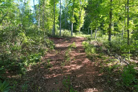 0 Webster Rd, Glade Hill, VA 24092 photo 56
