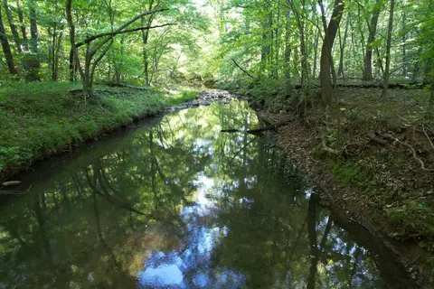 0 Webster Rd, Glade Hill, VA 24092 photo 41