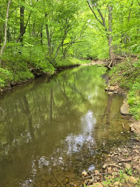 0 Webster Rd, Glade Hill, VA 24092 photo 3