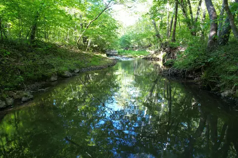 0 Webster Rd, Glade Hill, VA 24092 photo 44