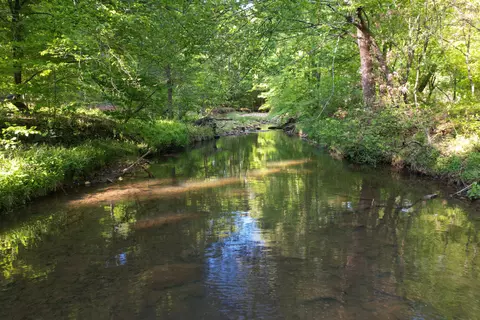 0 Webster Rd, Glade Hill, VA 24092 photo 29