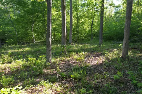 0 Webster Rd, Glade Hill, VA 24092 photo 36